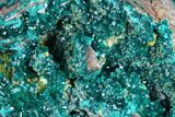 Gemmy Dioptase Clusters with Mimetite - N'tola Mine, Congo #175943-1